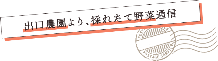 出口農園より、採れたて野菜通信