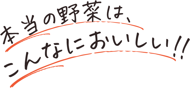 本当の野菜はこんなにおいしい!!