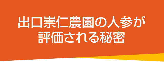 出口崇仁農園の人参が評価される秘密