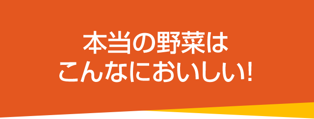本当の野菜はこんなに美味しい