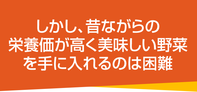 しかし、昔ながらの栄養価が高く美味しい野菜を手に入れるのは困難