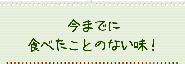 今までに食べたことのない味！